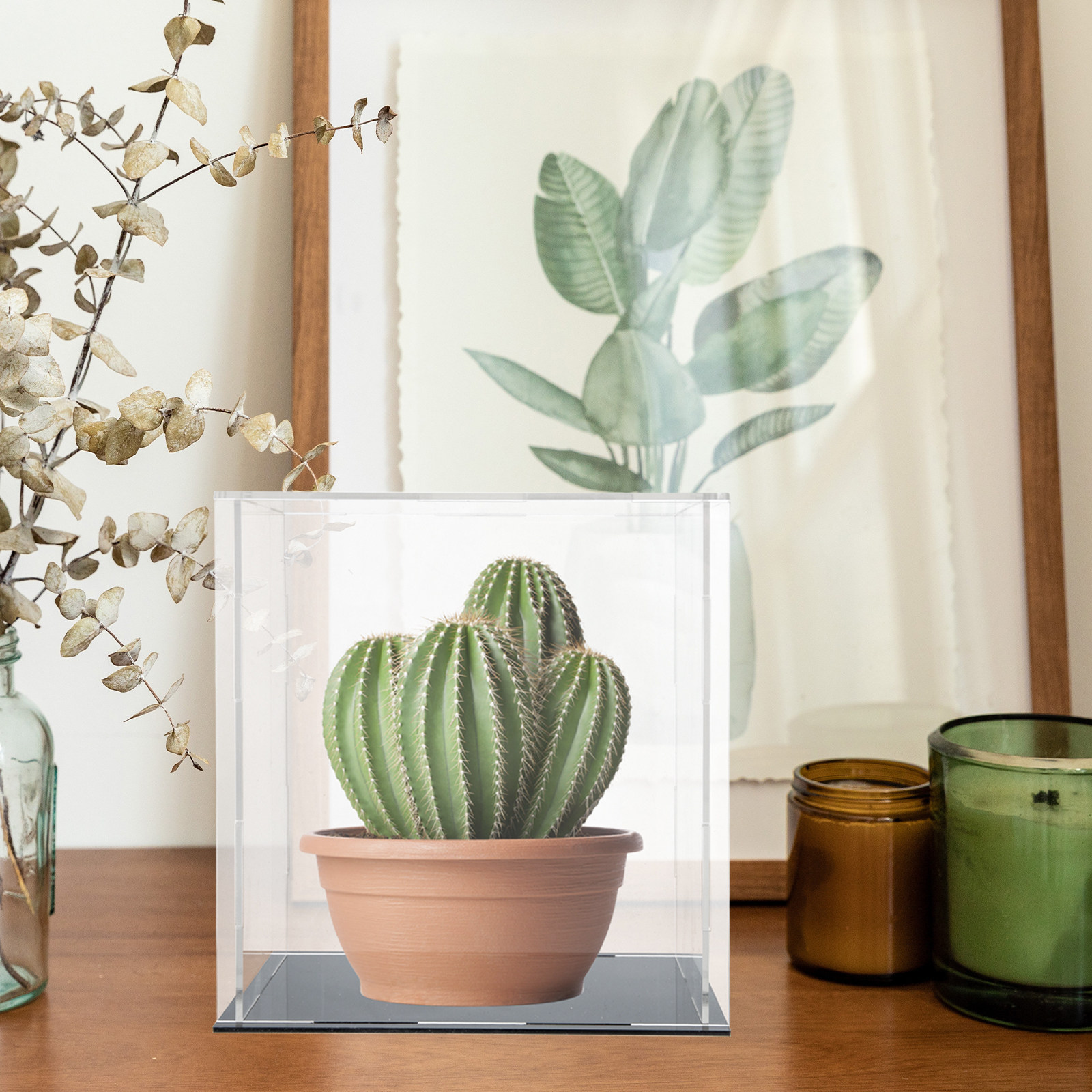 Acrylic Transparent Display Ca - đánh giá và giá Display Case Acrylic