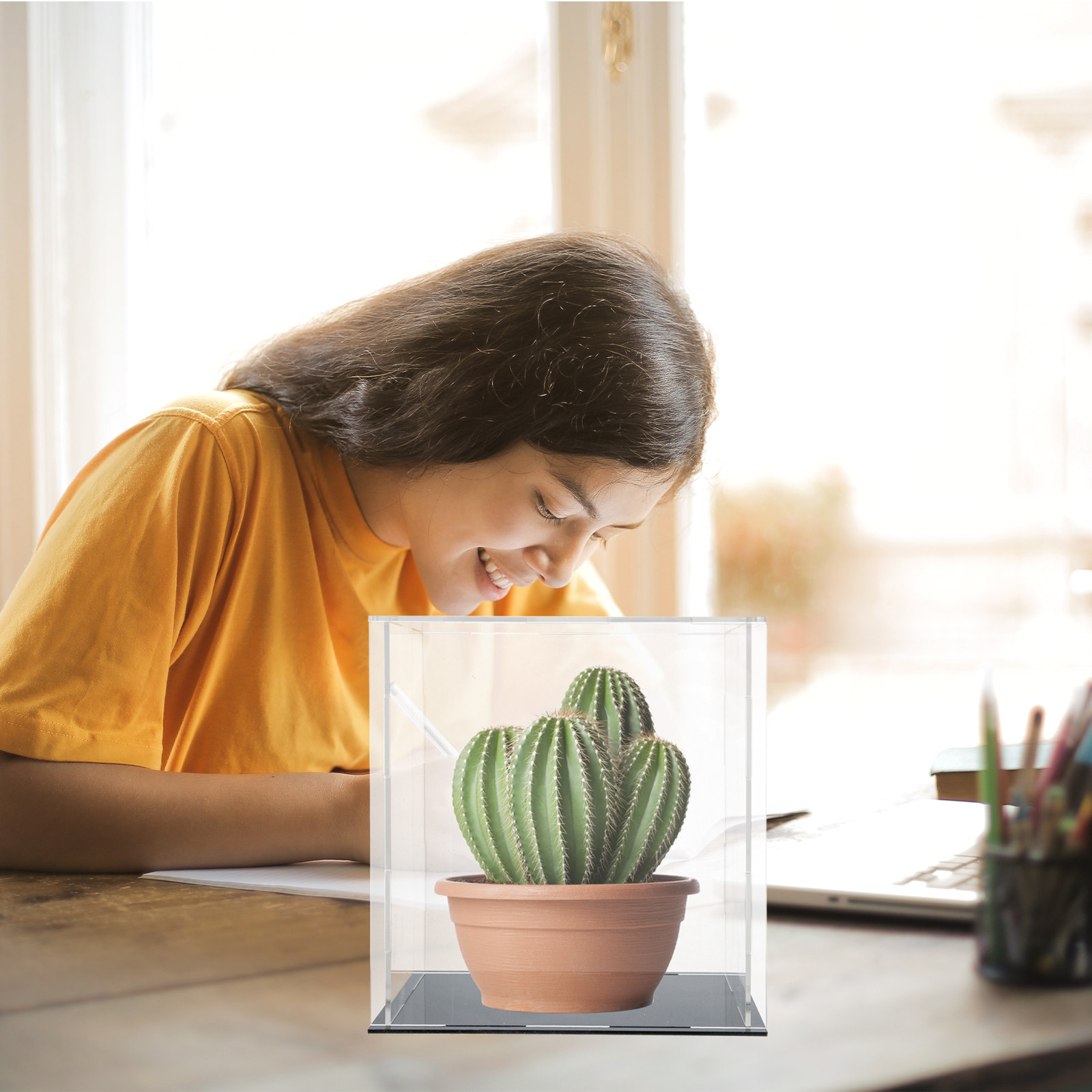 Acrylic Transparent Display Ca - đánh giá và giá Display Case Acrylic